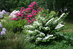 Killikus&reg; Fotographie